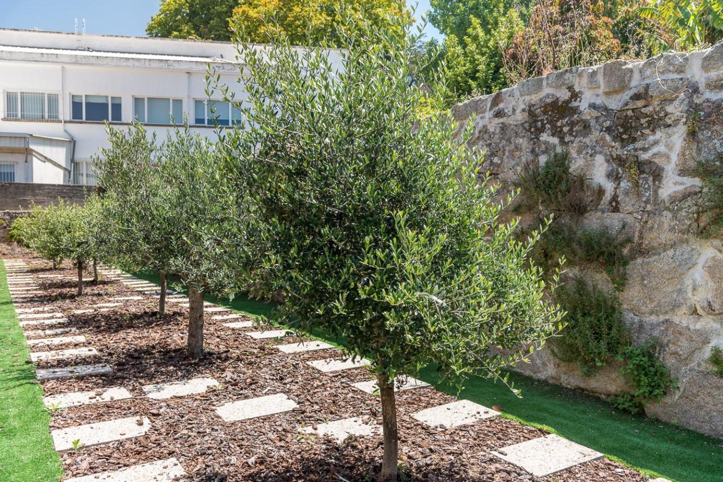 Guestready - Jardim Das Oliveiras Guesthouse - 2 波尔图 外观 照片